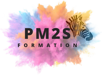 PM2S Formation